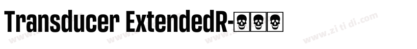 Transducer ExtendedR字体转换
